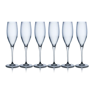 PREMIUM CALICI CL 25 CHAMPAGNE