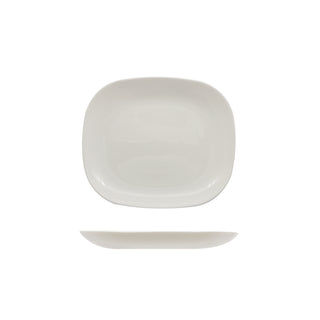 EVOLUTION SOLUTIONS-CONFEZIONE 6 PIATTI SNACK CM.21,5X19