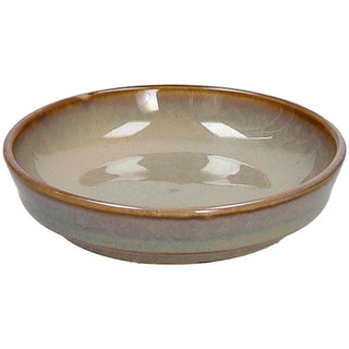 JAP NEW BROWN- COPPETTA SOJA CM 8